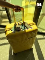 تگ چمدان طرح نقشه جهان سبز آبی - Image 4