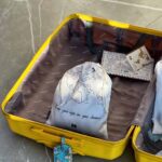 نظم دهنده چمدان طرح نقشه مپگرد