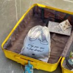 نظم دهنده چمدان و کوله مخصوص کفش مپگرد