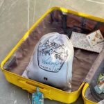 نظم دهنده چمدان مخصوص لباس های کثیف مپگرد