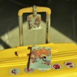 ست کاور پاسپورت و تگ چمدان طرح نقشه جهان وینتیج